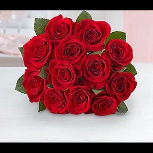 Meet your Posher, Tierra